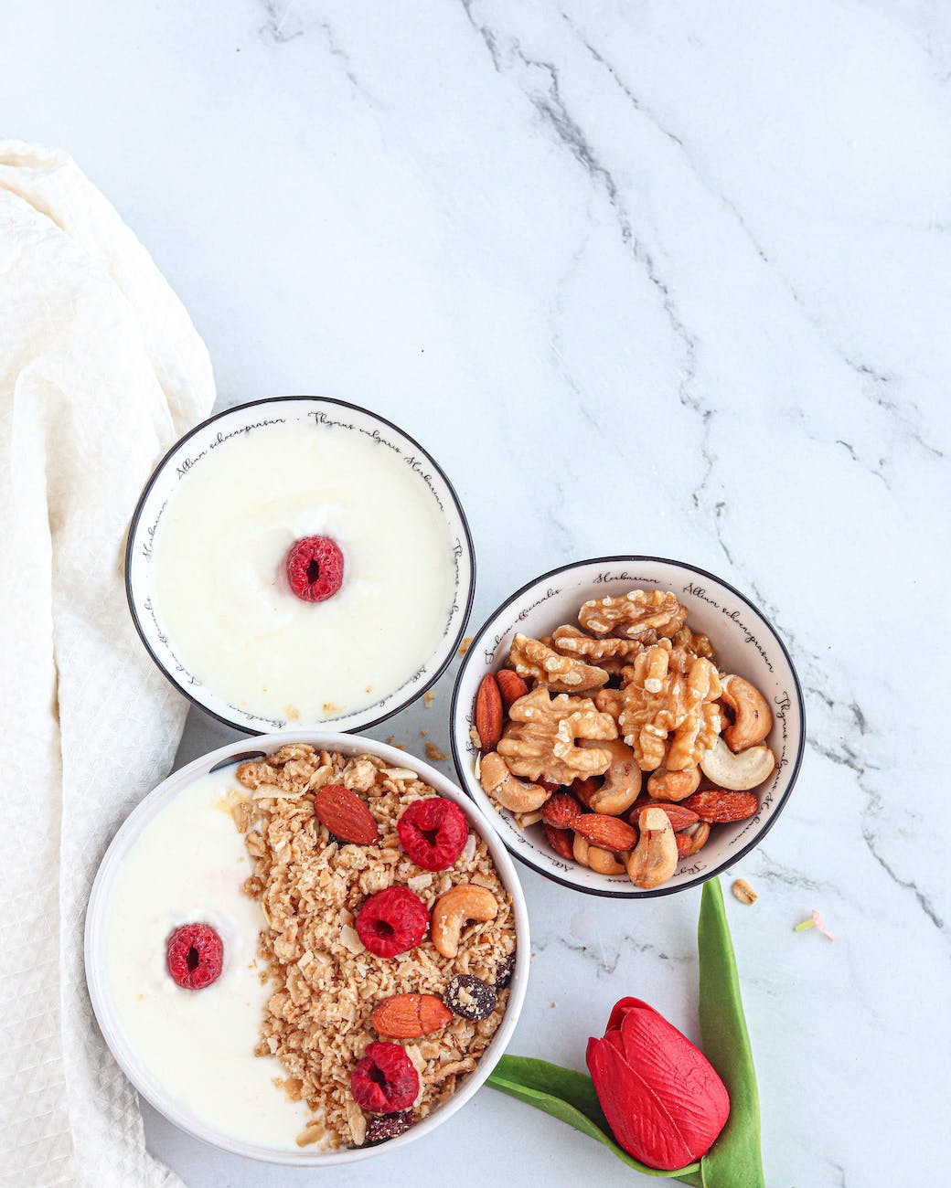 bowls with muesli nuts and probiotic rich foods yogurt on a countertop